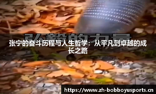 张宁的奋斗历程与人生哲学：从平凡到卓越的成长之路